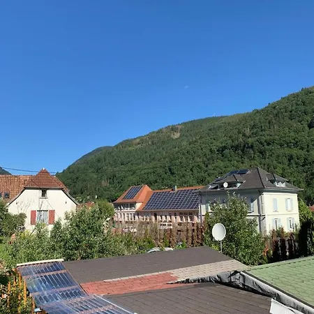 Style Rustique Apartamento Urbès